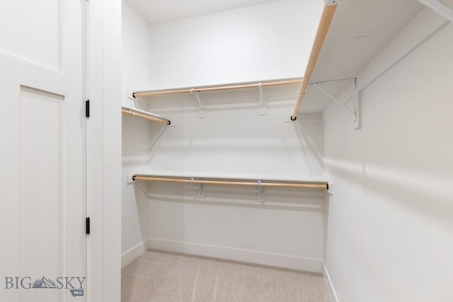 1609 Wyatt Earp Ct, Belgrade, MT 59714 - walk in closet with carpet flooring