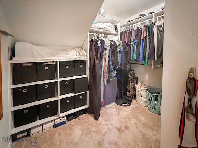 4442 Alexander, Bozeman, MT 59718 - walk in closet featuring carpet floors