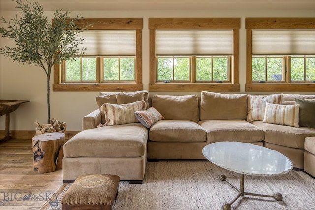 5933 Monforton School Rd, Bozeman, MT 59718 - living room with healthy amount of natural light and wood finished floors