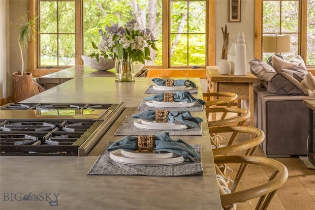 5933 Monforton School Rd, Bozeman, MT 59718 - view of dining space