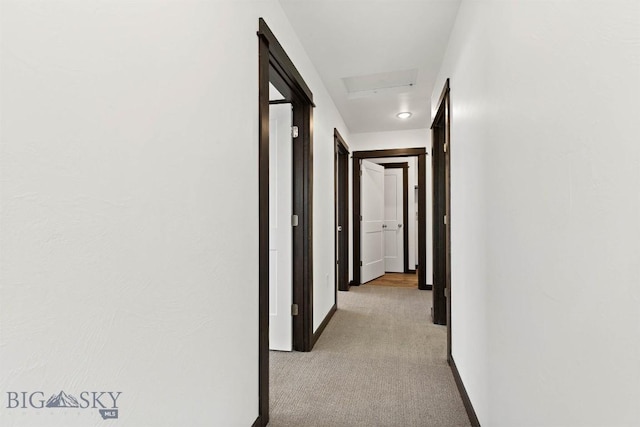 2853 Fen Way Unit D, Bozeman, MT 59718 - photo 21