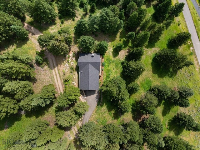 2415 Crazy Horse Rd, Big Sky, MT 59716 - drone / aerial view