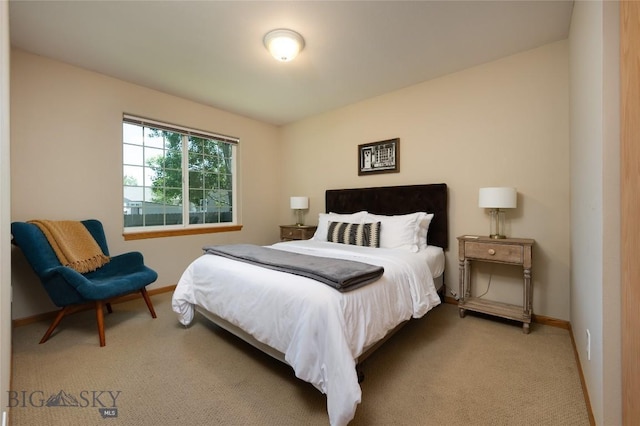 56 Green Belt Dr, Belgrade, MT 59714 - bedroom with carpet floors and baseboards