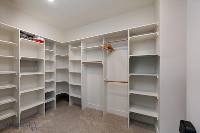 810 Butler Crk, Belgrade, MT 59714 - walk in closet with carpet
