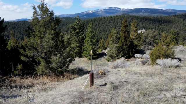 TBD Grace Rd, Butte, MT 59701