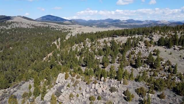 TBD Grace Rd, Butte, MT 59701
