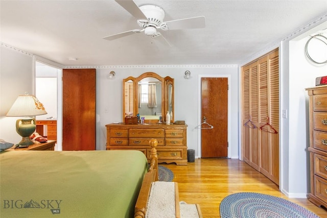 510 S Excelsior, Butte, MT 59701 - bedroom featuring light wood finished floors, ceiling fan, and two closets