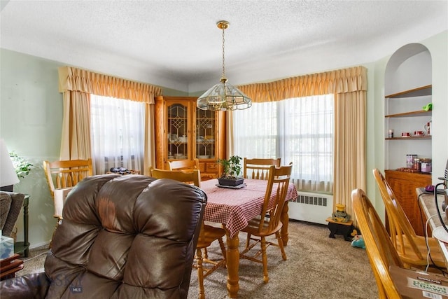 510 S Excelsior, Butte, MT 59701 - dining room featuring radiator, healthy amount of natural light, carpet floors, and a textured ceiling
