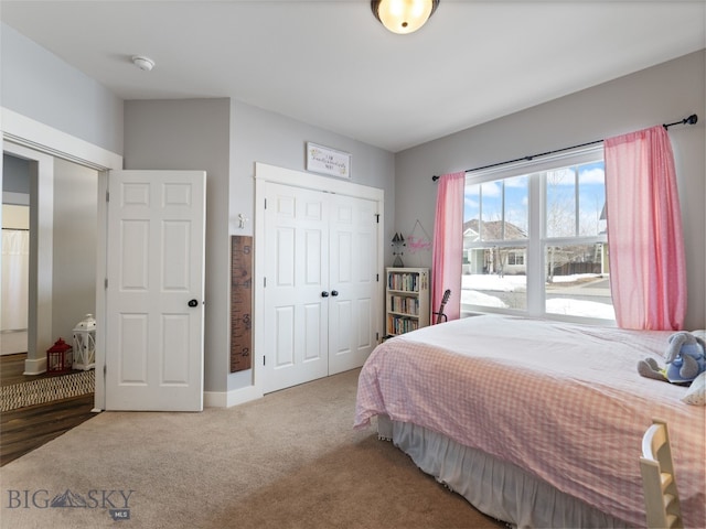 3171 Spring Ridge Dr, Bozeman, MT 59715 - bedroom with carpet flooring and a closet