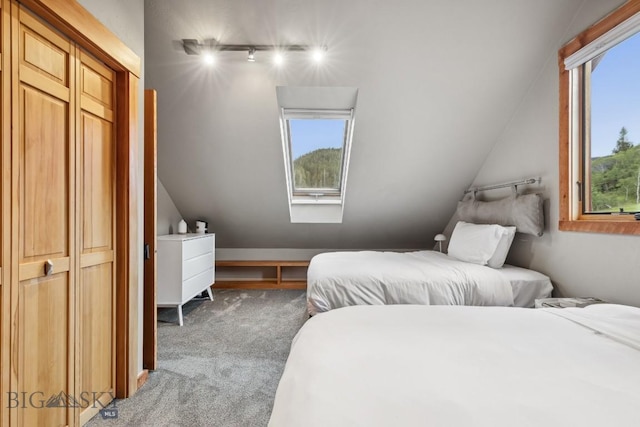 3011 Goose Creek Rd, Bozeman, MT 59715 - bedroom with track lighting, multiple windows, light colored carpet, and lofted ceiling