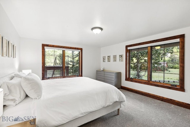 3011 Goose Creek Rd, Bozeman, MT 59715 - carpeted bedroom featuring multiple windows and baseboards