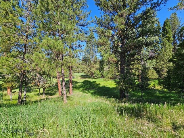 1087 Golf View Dr, Seeley Lake, MT 59868 - photo 7