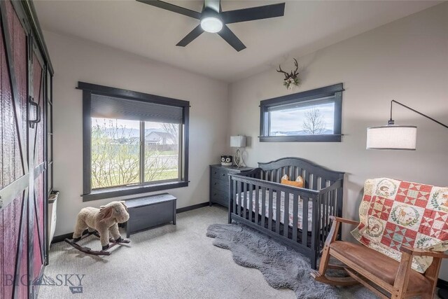 1305 Powers Blvd, Belgrade, MT 59714 - photo 41