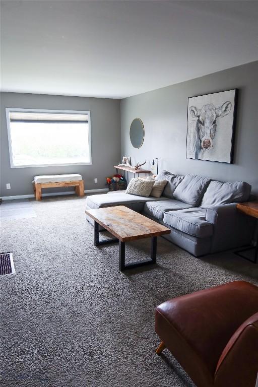 1905 Florence Ave, Butte, MT 59701 - living area featuring carpet, plenty of natural light, and baseboards