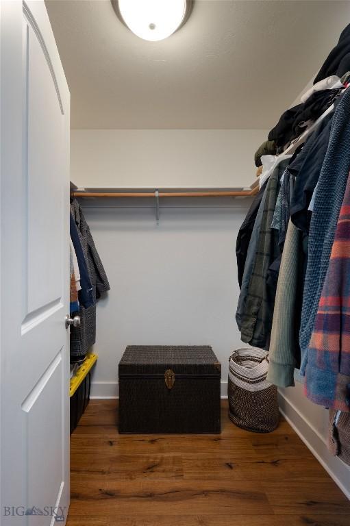 3650 Potosi St, Bozeman, MT 59718 - walk in closet with wood finished floors