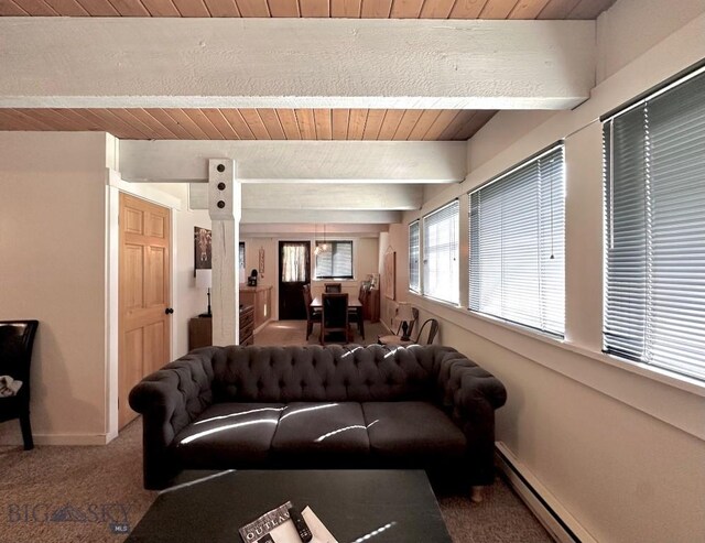 2225 Black Otter Rd Unit 23, Big Sky, MT 59716 - living room with carpet, wood ceiling with exposed beams, baseboard heating, and baseboards