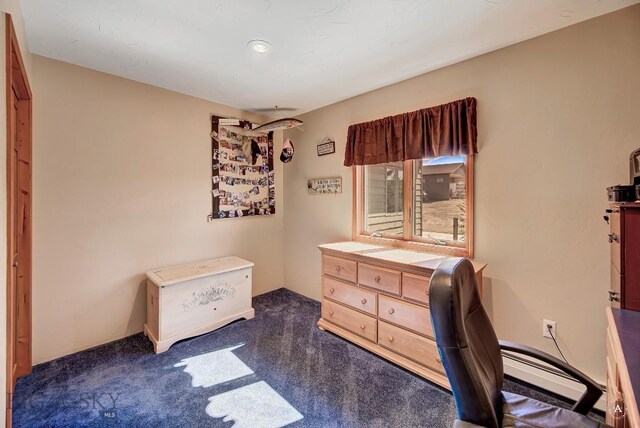 3380 Moulton Reservoir Rd, Butte, MT 59701 - photo 23