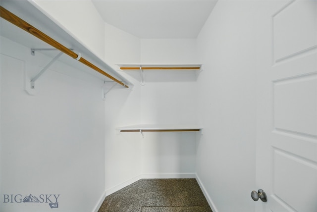 110 Ramshorn Peak Ln, Bozeman, MT 59718 - view of spacious closet