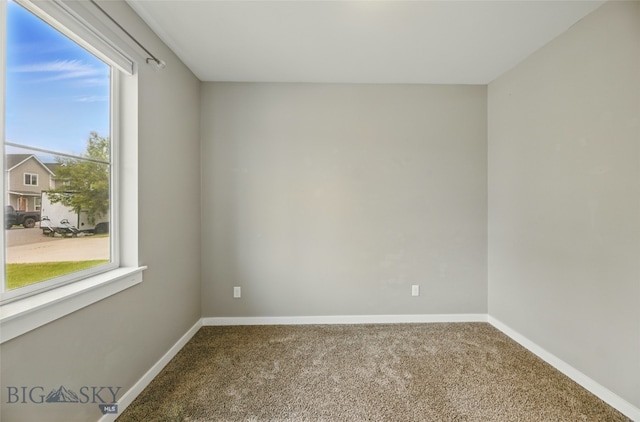110 Ramshorn Peak Ln, Bozeman, MT 59718 - spare room with carpet flooring and baseboards