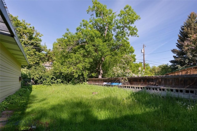 1109 S Willson, Bozeman, MT 59715 - view of yard
