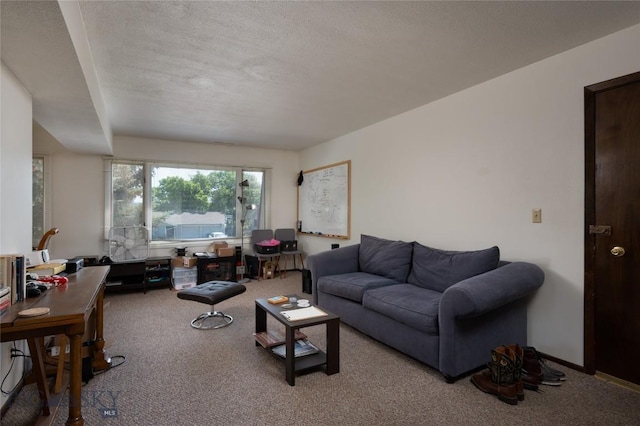 405 N 16th, Bozeman, MT 59715 - carpeted living room with a textured ceiling