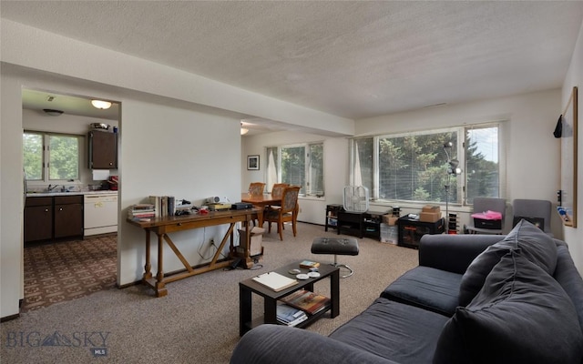 405 N 16th, Bozeman, MT 59715 - carpeted living area featuring a sink and a textured ceiling