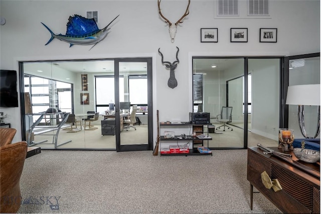 354 Brass Lantern Ct, Bozeman, MT 59715 - workout area featuring carpet floors