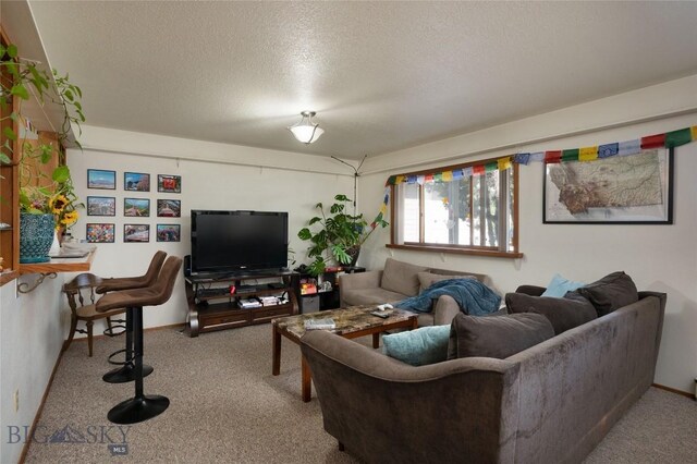 1720 W Olive, Bozeman, MT 59715 - photo 24