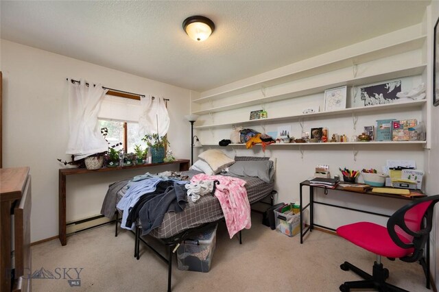 1720 W Olive, Bozeman, MT 59715 - photo 25