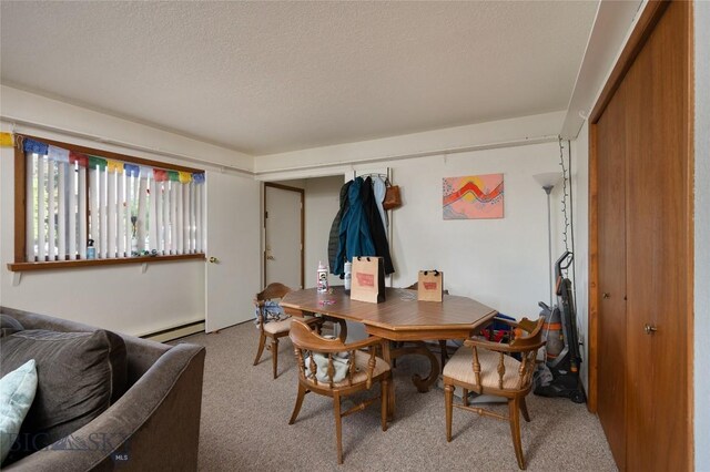 1720 W Olive, Bozeman, MT 59715 - photo 22