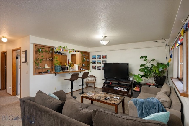 1720 W Olive, Bozeman, MT 59715 - photo 21