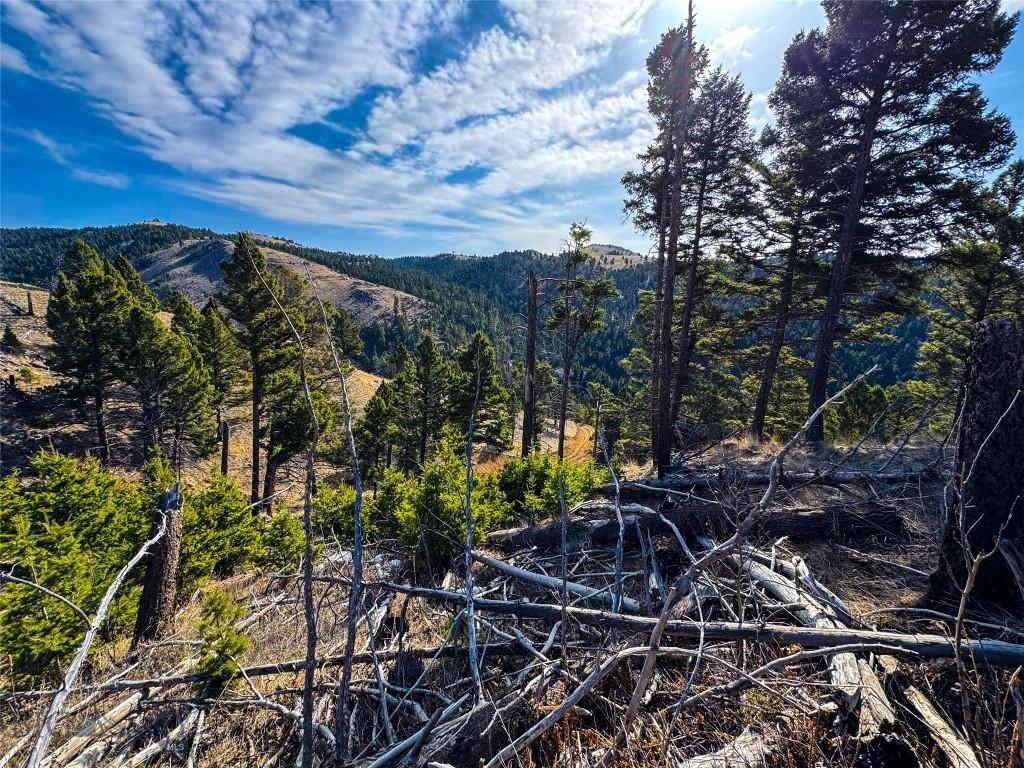 TBD(31.2+/-Ac) High Ore Road, Boulder, MT 59632 - photo 1