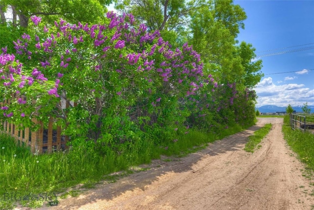 4555 Baxter, Bozeman, MT 59718 - view of dirt / gravel road