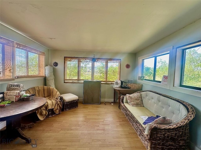 728 Madison River Rd, Three Forks, MT 59752 - photo 15
