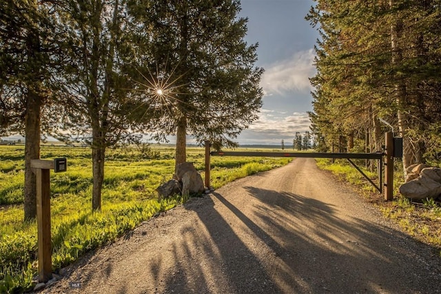 TBD Buttermilk Court, West Yellowstone, MT 59758 - view of street with a view of rural / pastoral area