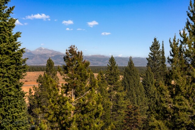 TBD Buttermilk Court, West Yellowstone, MT 59758 - mountain view