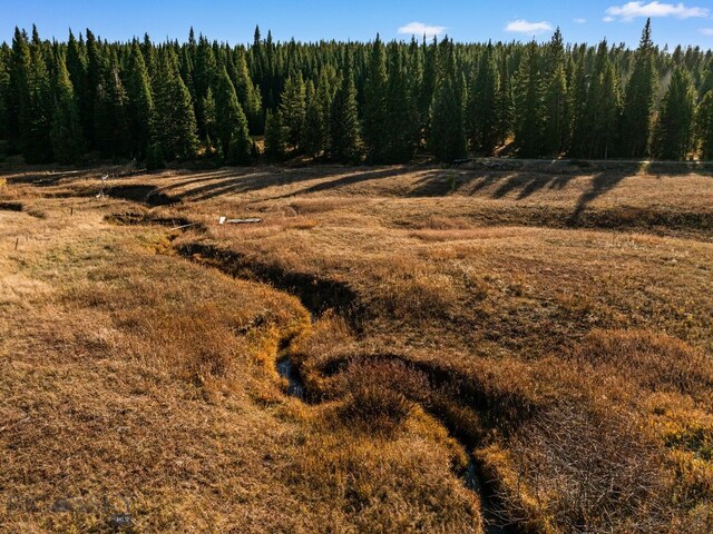 TBD Buttermilk Court, West Yellowstone, MT 59758 - view of local wilderness featuring rural landscape