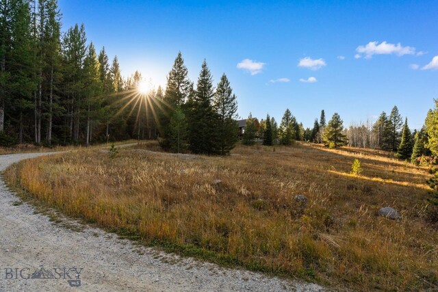 TBD Buttermilk Court, West Yellowstone, MT 59758 - view of nature