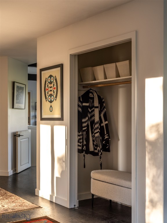 370 Star Ridge Rd, Bozeman, MT 59715 - view of closet