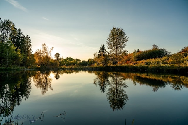 370 Star Ridge Rd, Bozeman, MT 59715 - water view
