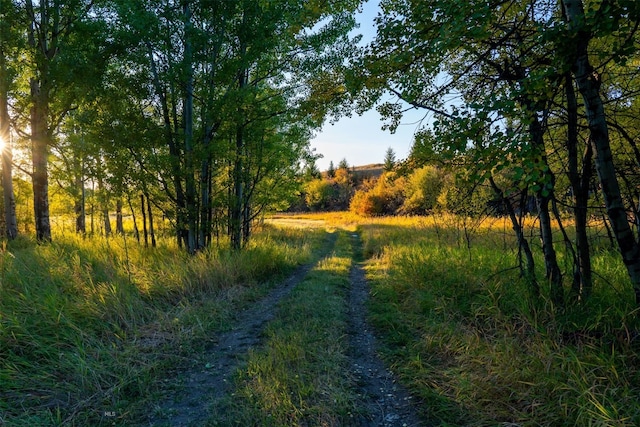 370 Star Ridge Rd, Bozeman, MT 59715 - view of road