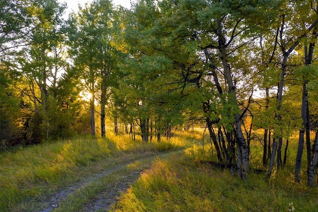 370 Star Ridge Rd, Bozeman, MT 59715 - view of tree filled area