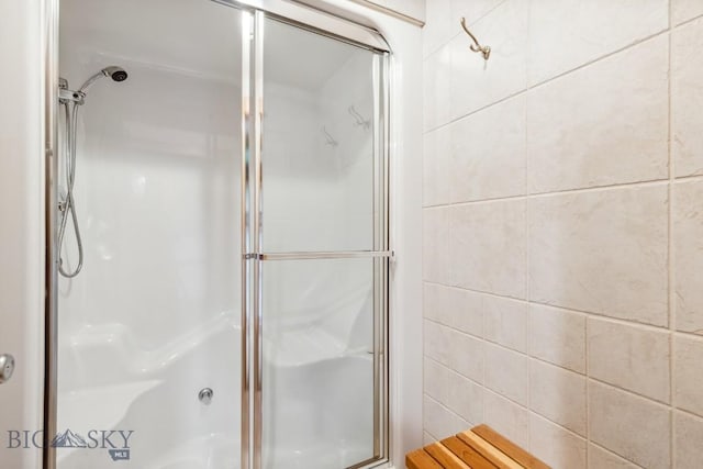 2594 Star Ridge Rd, Bozeman, MT 59715 - full bathroom with a stall shower