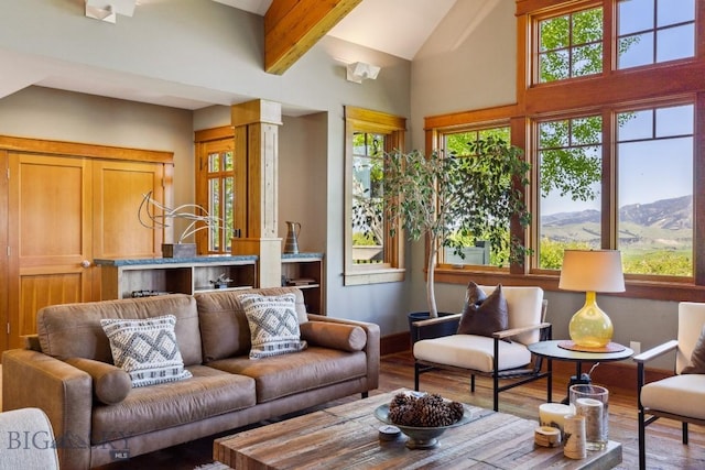 2594 Star Ridge Rd, Bozeman, MT 59715 - living area with wood finished floors, high vaulted ceiling, and a mountain view