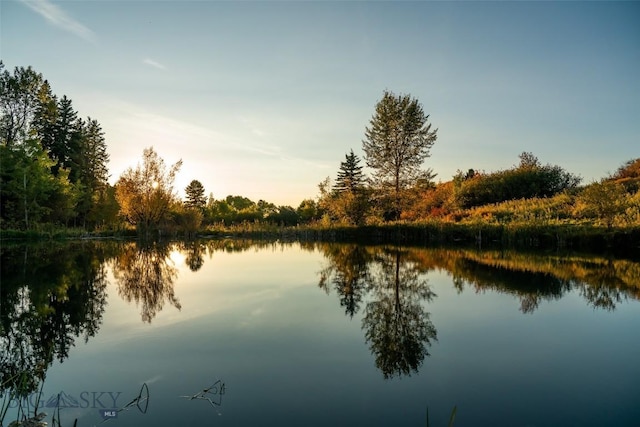 2594 Star Ridge Rd, Bozeman, MT 59715 - water view