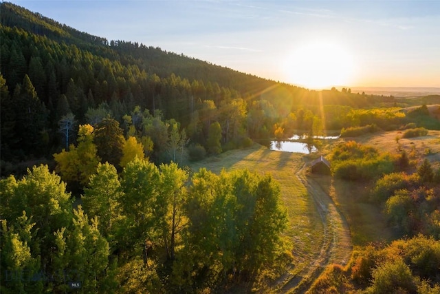 2594 Star Ridge Rd, Bozeman, MT 59715 - mountain view featuring a heavily wooded area and a nearby body of water