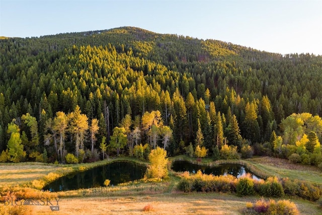 2594 Star Ridge Rd, Bozeman, MT 59715 - mountain view with a large body of water