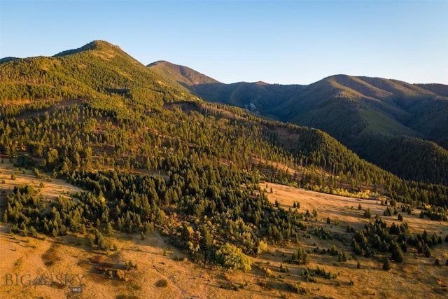 2594 Star Ridge Rd, Bozeman, MT 59715 - view of mountain backdrop featuring a forest