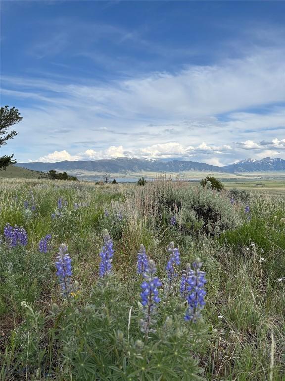 LOT12 Lookout Trl, Mcallister, MT 59729
