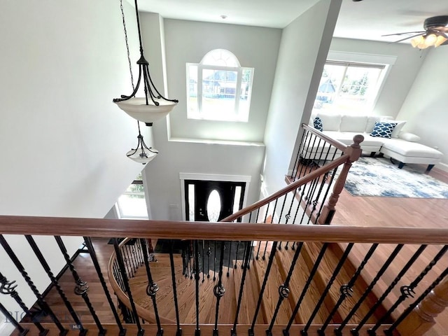 2475 Rose St, Bozeman, MT 59718 - staircase with wood finished floors, healthy amount of natural light, and a ceiling fan